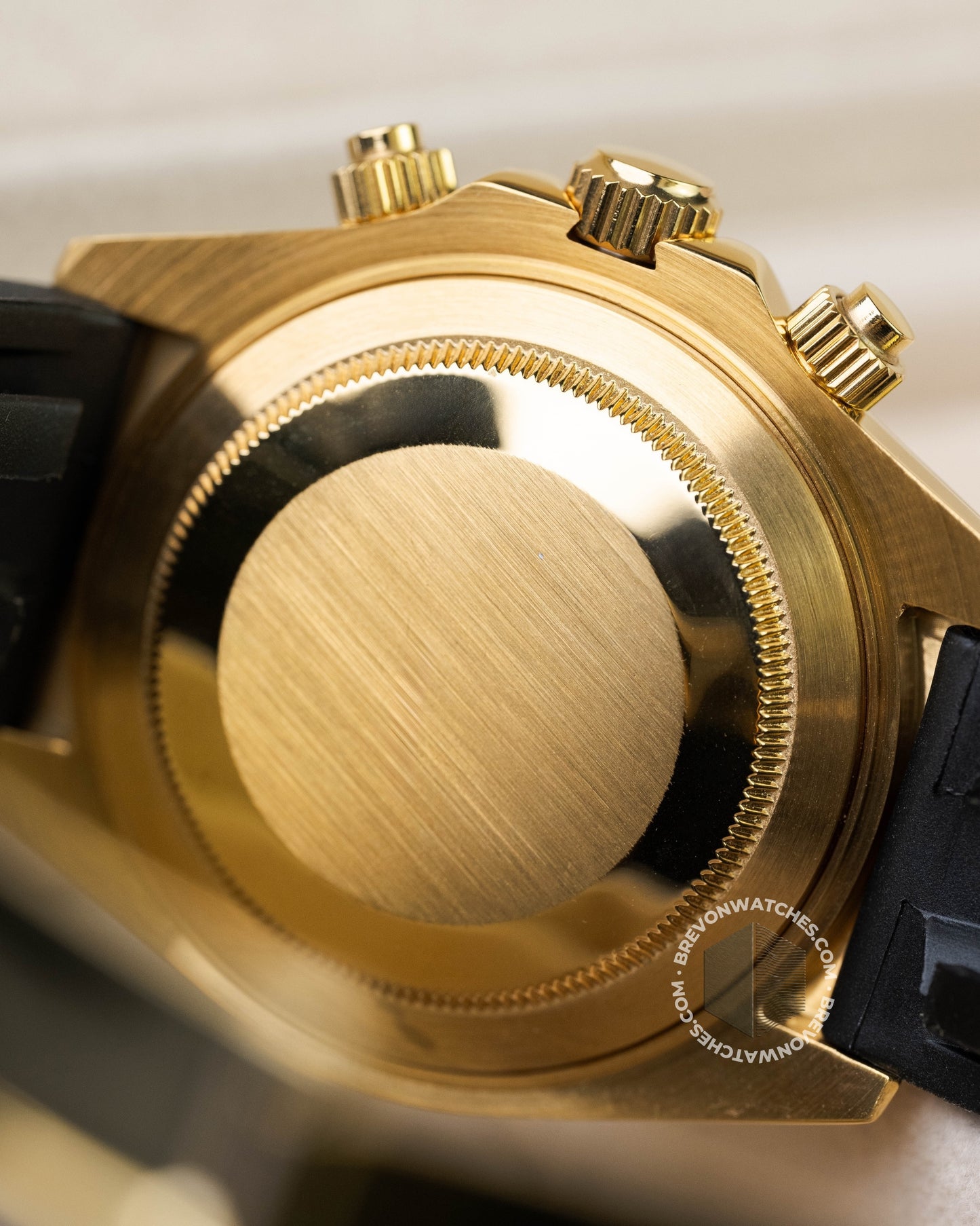 Racer | Tiffany Gold