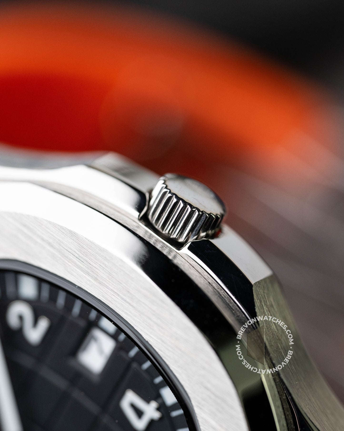 Aquatropic | Black Orange