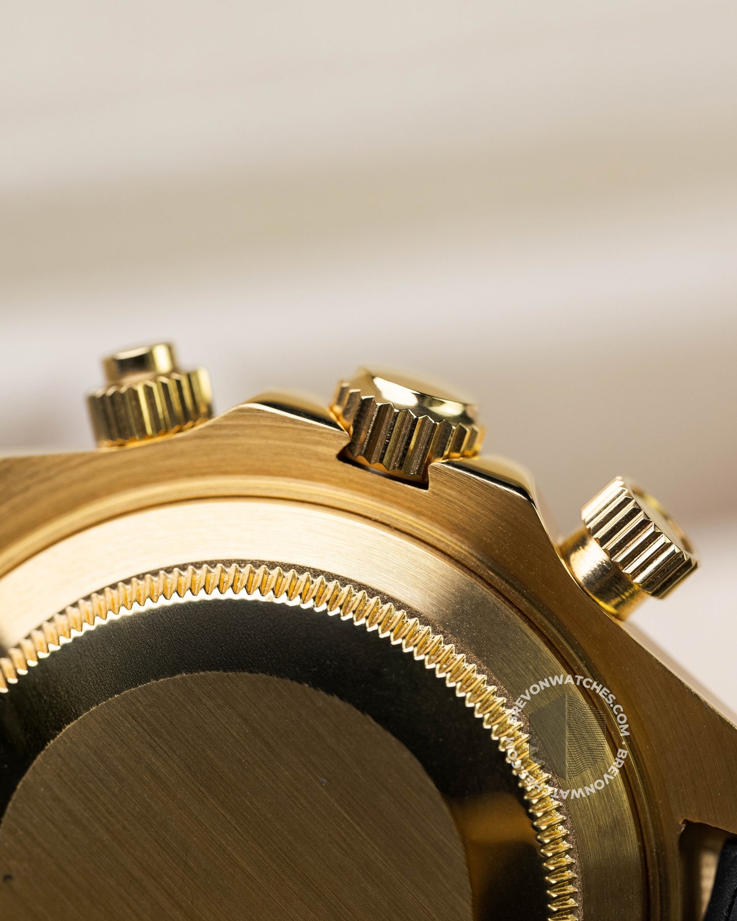 Racer | Tiffany Gold